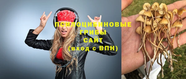 мет Майский